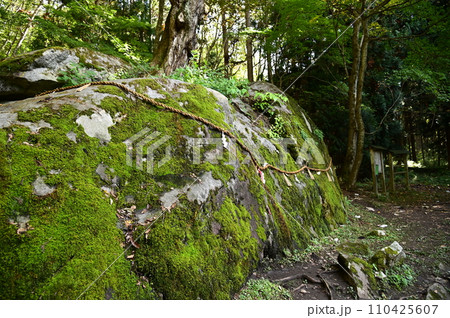 花巻市の名所 丹内山神社 110425607