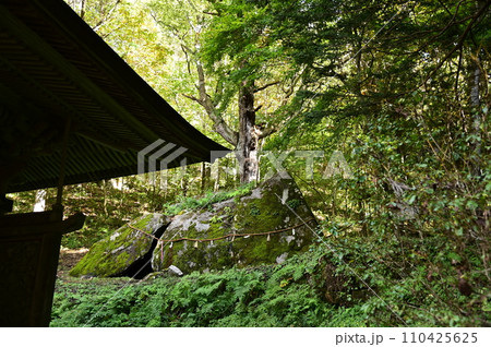 花巻市の名所 丹内山神社 110425625