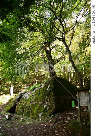 花巻市の名所 丹内山神社 110425640