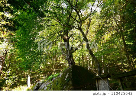 花巻市の名所 丹内山神社 花巻市の名所 丹内山神社 110425642
