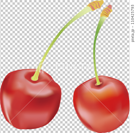 つやつやのサクランボ-01 つやつやのサクランボ-01 110425793
