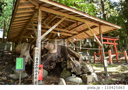 花巻市の名所 丹内山神社 110425863