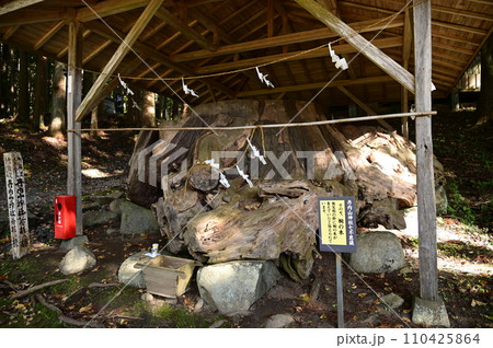 花巻市の名所 丹内山神社 110425864