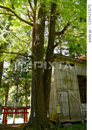 花巻市の名所 丹内山神社 110425870