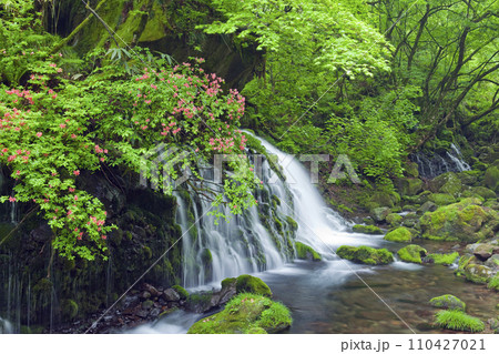 ツツジ咲く元滝伏流水 110427021
