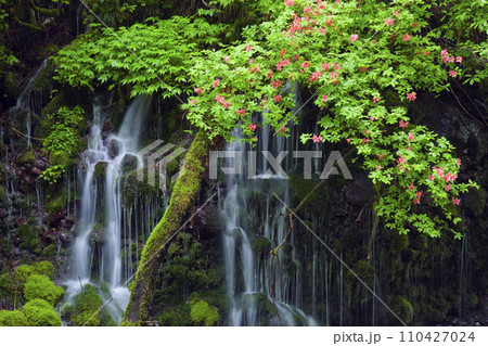 ツツジ咲く元滝伏流水 110427024
