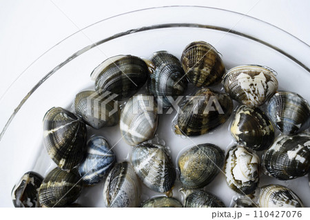 アサリの砂出し、アサリの砂抜き、あさり アサリの砂出し、アサリの砂抜き、あさり 110427076