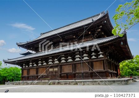 東寺の金堂 110427371