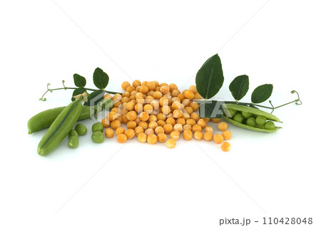 Yellow peas whole and fresh green peas and pea pods 110428048