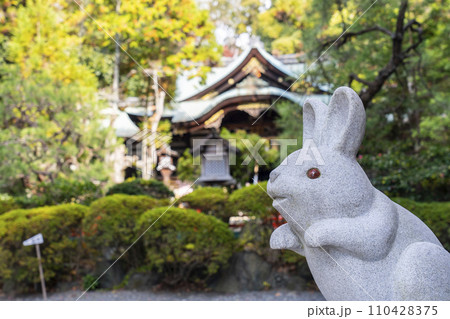 京都　岡崎神社 110428375