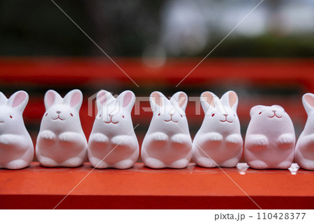 京都　岡崎神社　境内にずらっと並ぶ「うさぎみくじ」 110428377