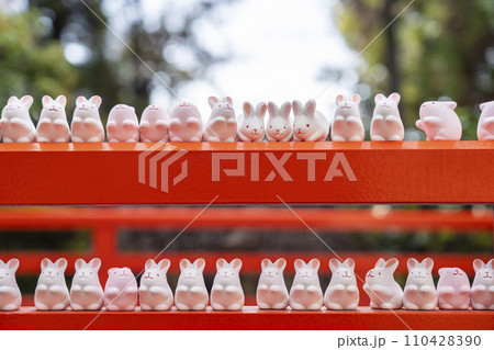 京都　岡崎神社　境内にずらっと並ぶ「うさぎみくじ」 110428390