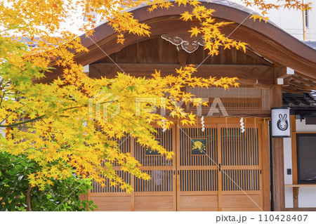 京都　岡崎神社　紅葉と社務所 110428407