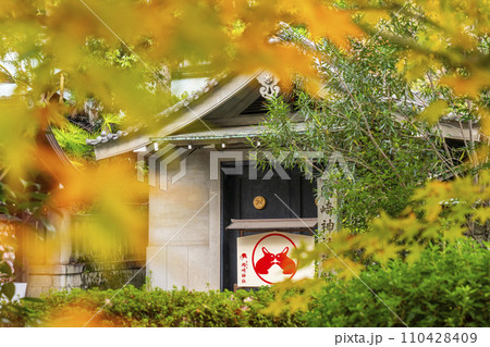 京都　岡崎神社　蔵の前にある大きなうさぎの絵馬 110428409