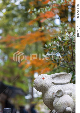 京都　岡崎神社　紅葉と狛うさぎ 110428410