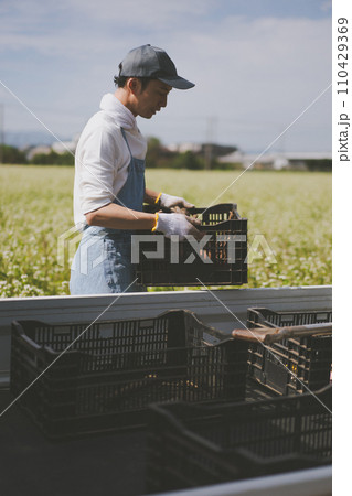 vegetable field 110429369
