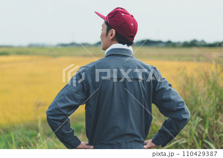 rice farming 110429387