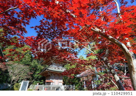 埼玉県比企郡吉見町大字御所　岩殿山安楽寺吉見観音の境内の紅葉と県指定文化財の三重塔 110429951
