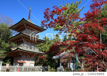 埼玉県比企郡吉見町大字御所 岩殿山安楽寺吉見観音の境内の紅葉と県指定文化財の三重塔 埼玉県比企郡吉見町大字御所 岩殿山安楽寺吉見観音の境内の紅葉と県指定文化財の三重塔 110429969