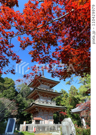 埼玉県比企郡吉見町大字御所 岩殿山安楽寺吉見観音の境内の紅葉と県指定文化財の三重塔 埼玉県比企郡吉見町大字御所 岩殿山安楽寺吉見観音の境内の紅葉と県指定文化財の三重塔 110429979