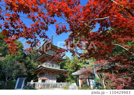 埼玉県比企郡吉見町大字御所 岩殿山安楽寺吉見観音の境内の紅葉と県指定文化財の三重塔 埼玉県比企郡吉見町大字御所 岩殿山安楽寺吉見観音の境内の紅葉と県指定文化財の三重塔 110429983