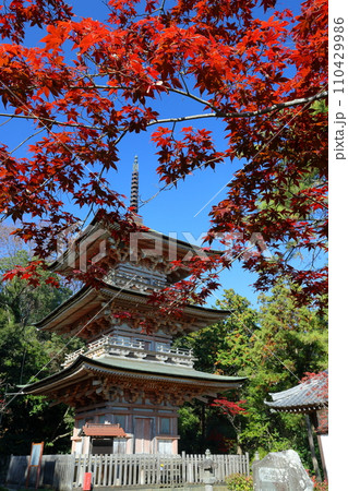 埼玉県比企郡吉見町大字御所　岩殿山安楽寺吉見観音の境内の紅葉と県指定文化財の三重塔 110429986