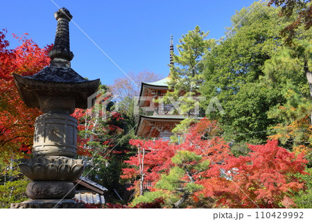 埼玉県比企郡吉見町大字御所　岩殿山安楽寺吉見観音の境内の紅葉と県指定文化財の三重塔 110429992