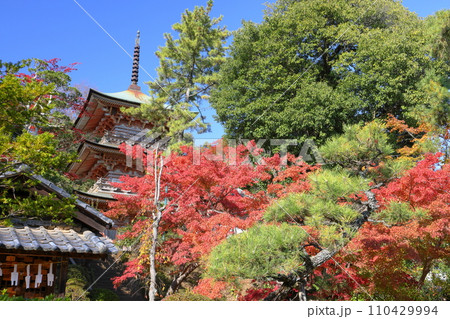 埼玉県比企郡吉見町大字御所 岩殿山安楽寺吉見観音の境内の紅葉と県指定文化財の三重塔 埼玉県比企郡吉見町大字御所 岩殿山安楽寺吉見観音の境内の紅葉と県指定文化財の三重塔 110429994