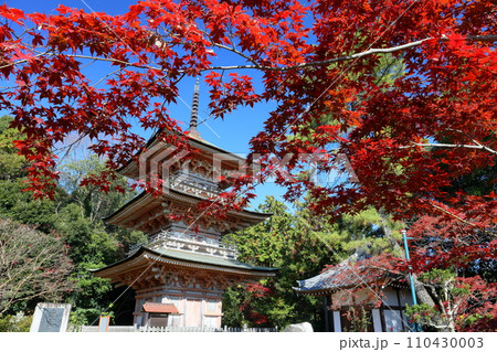 埼玉県比企郡吉見町大字御所 岩殿山安楽寺吉見観音の境内の紅葉と県指定文化財の三重塔 埼玉県比企郡吉見町大字御所 岩殿山安楽寺吉見観音の境内の紅葉と県指定文化財の三重塔 110430003