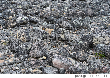 Granite stones formed 3-2.5 billion years ago on the shores of the Barents Sea, Russia 110430011
