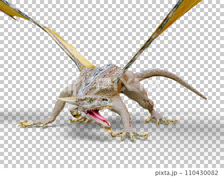 ドラゴン 110430082