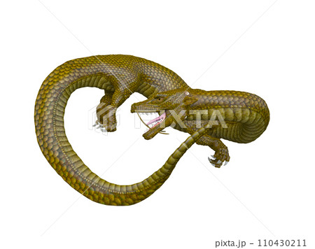 ドラゴン 110430211