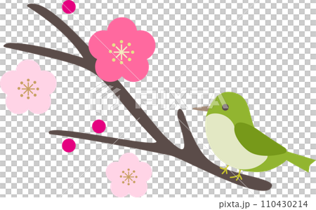 簡單可愛的梅花與日本鶯插畫素材 110430214