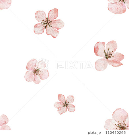 Seamless pattern with blooming cherry blossom, flowering sakura, spring apple. Floral watercolor background. Perfect for design templates, wallpaper, wrapping, fabric and textile Seamless pattern with blooming cherry blossom, flowering sakura, spring apple. Floral watercolor background. Perfect for design templates, wallpaper, wrapping, fabric and textile 110430266