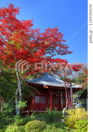 埼玉県比企郡吉見町大字御所 岩殿山安楽寺吉見観音の境内の薬師堂と紅葉 埼玉県比企郡吉見町大字御所 岩殿山安楽寺吉見観音の境内の薬師堂と紅葉 110430420