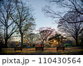 ベンチのある公園 ベンチのある公園 110430564