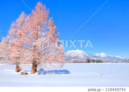 冬の霊仙寺湖畔 110430743