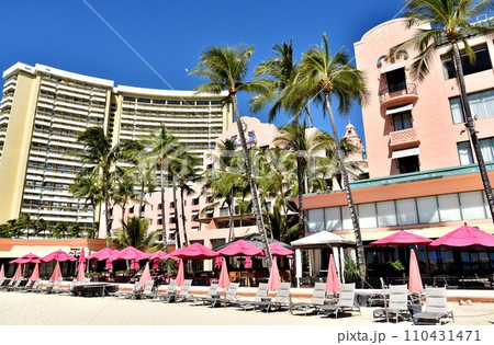 ハワイの休日 110431471