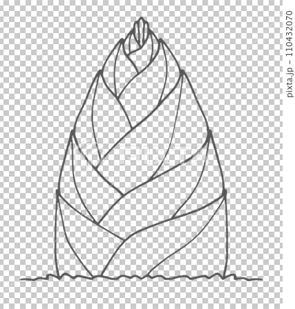 簡單的竹筍 簡單的竹筍 110432070