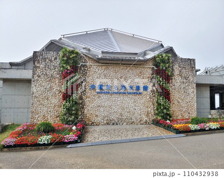 沖縄　美ら海水族館12 110432938