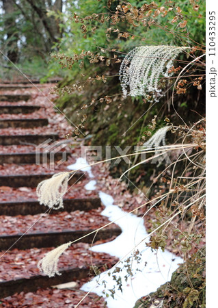 落ち葉と少量の雪の積もった階段の前でお辞儀をしているようなススキ 110433295
