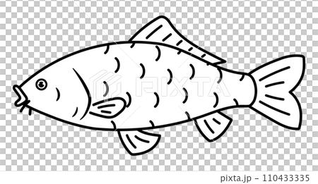 一條鯉魚 110433335