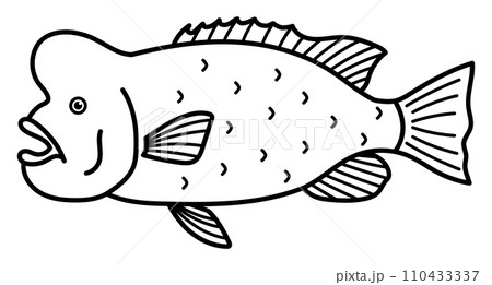 コブダイ 110433337