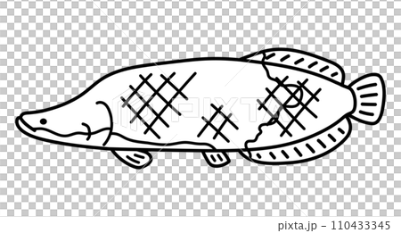 Pirarucu Pirarucu 110433345