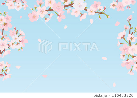 桜のフレーム素材 桜のフレーム素材 110433520