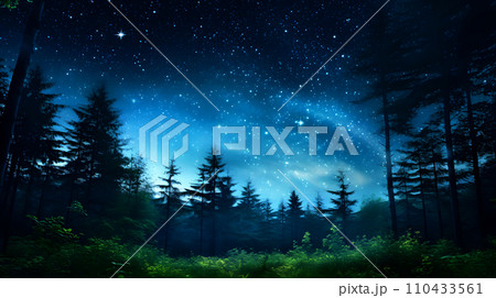 木々の間から見える星空 110433561