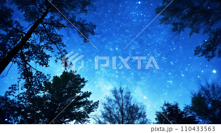 木々の間から見える星空 110433563