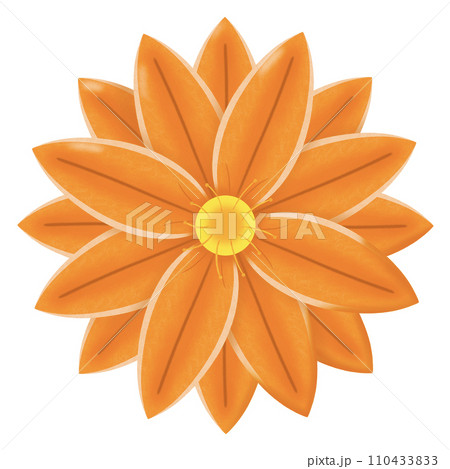 flower of sunflower isolated on white background 110433833