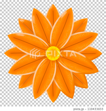 flower of sunflower isolated on white background 110433833