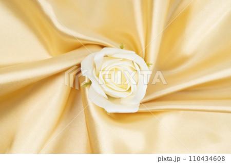White rose on gold color silk. 110434608